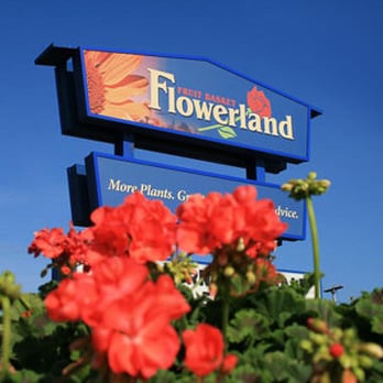 Flowerland - Nurseries & Gardening Near Me - Wyoming, Michigan Flowerland - Nurseries & Gardening Near Me - Wyoming, Michigan