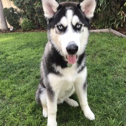 10 months of love-- right here! 10 months of love-- right here!