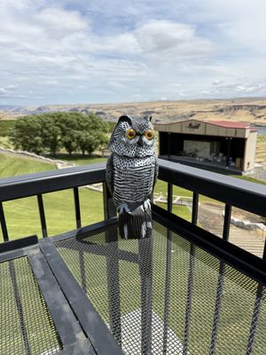 Maryhill Winery Goldendale Tasting Room & Bistro by null