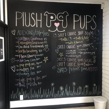 Plush Pups Pet Boutique and Spa - Options and pricing. I never got the option to choose my shampoo or conditioner tho, I didn't even know that existed until I read this. - Pet Groomers Near Me - Riverside, California