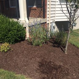 Removed all weeds and old mulch and placed new mulch