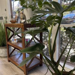 Stephens Acupuncture & Wellness - Decor in the office.