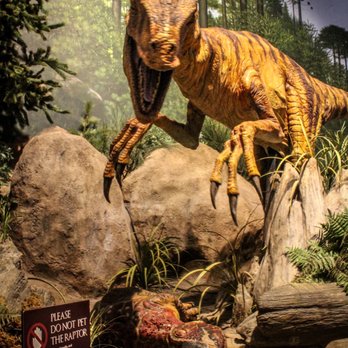 Creation Museum - Museums Near Me - Petersburg, Kentucky