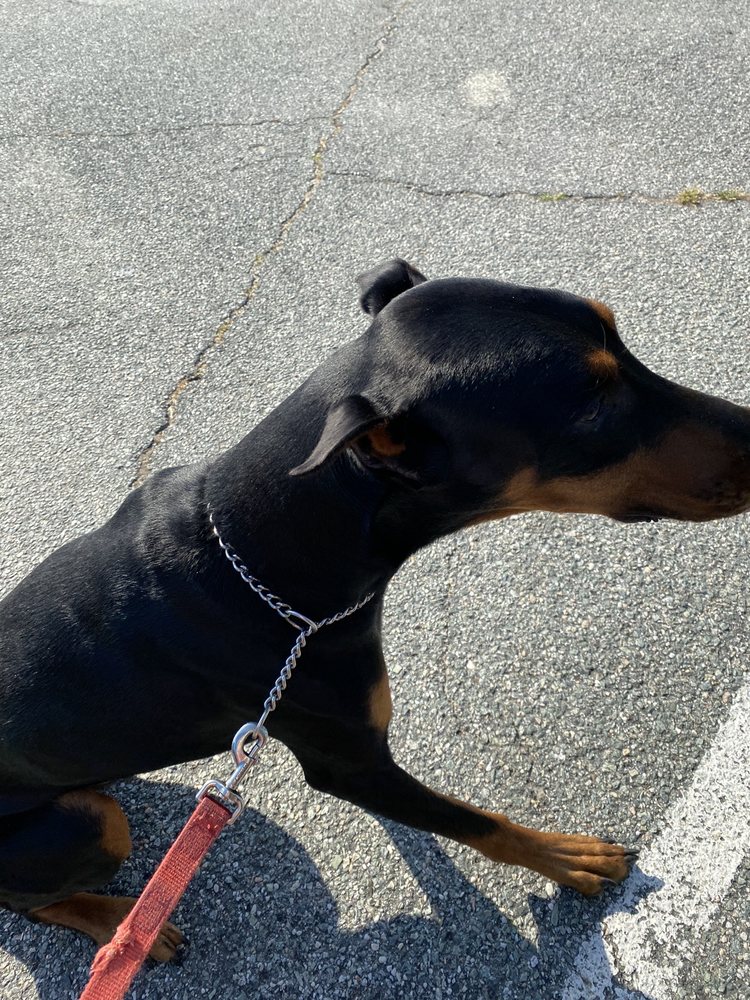 WARWICK ANIMAL HOSPITAL Updated October 2024 21 Reviews 11117