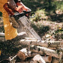 Perkins Tree Works