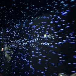 The Seas with Nemo and Friends
