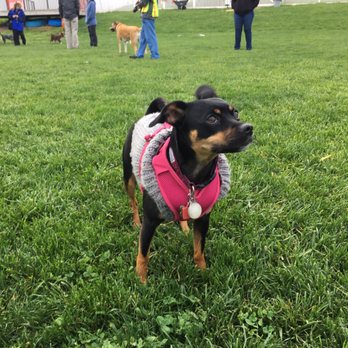 Nebraska Humane Society - Animal Shelters Near Me - Omaha, Nebraska Nebraska Humane Society - Animal Shelters Near Me - Omaha, Nebraska