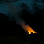 Photo of PG Tree Service