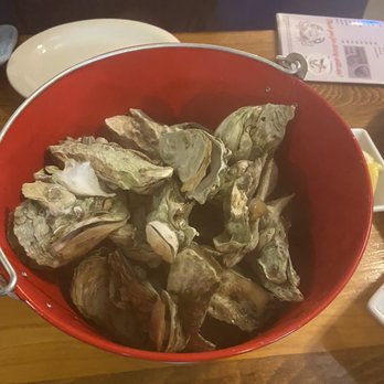 Commander's Shellfish Camp - Steamed oysters - Bars Near Me - St. Augustine, Florida