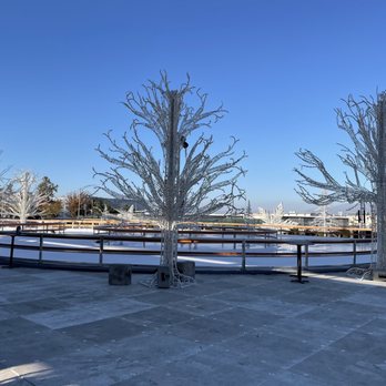 PayPal Park - Ice rink , PayPal park San Jose Enchanted - Stadiums & Arenas Near Me - San Jose, California PayPal Park - Ice rink , PayPal park San Jose Enchanted - Stadiums & Arenas Near Me - San Jose, California