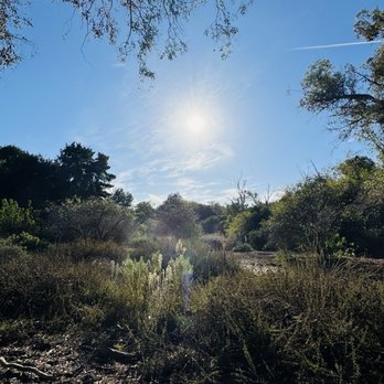 El Dorado Nature Center - Parks Near Me - Long Beach, California El Dorado Nature Center - Parks Near Me - Long Beach, California