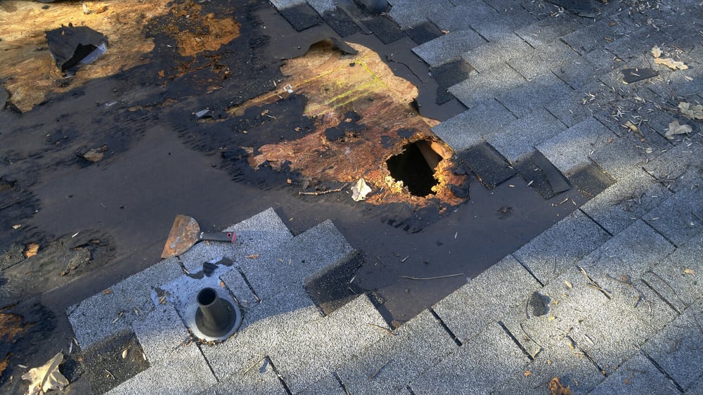 Slide of Blue Rhyno Construction