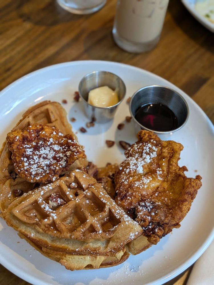 FAT RABBIT SOCIAL HOUSE - Updated July 2026 - 74 Photos & 36 Reviews ...