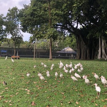 Howard Park - Playgrounds Near Me - West Palm Beach, Florida