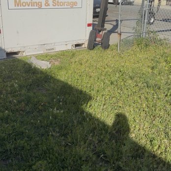 PODS Moving & Storage - Where the POD was placed, preventing me to close or secure my fence! - Movers Near Me - San Diego, California PODS Moving & Storage - Where the POD was placed, preventing me to close or secure my fence! - Movers Near Me - San Diego, California