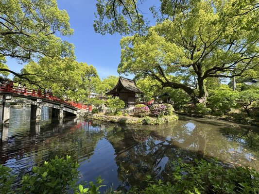Dazaifu-tenmangu Shrine by null