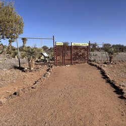 Chihuahuan Desert Nature Center - 2.15.2025