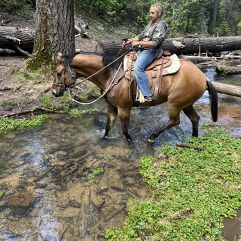MD Ranch - Horseback Riding Near Me - Queen Creek, Arizona
