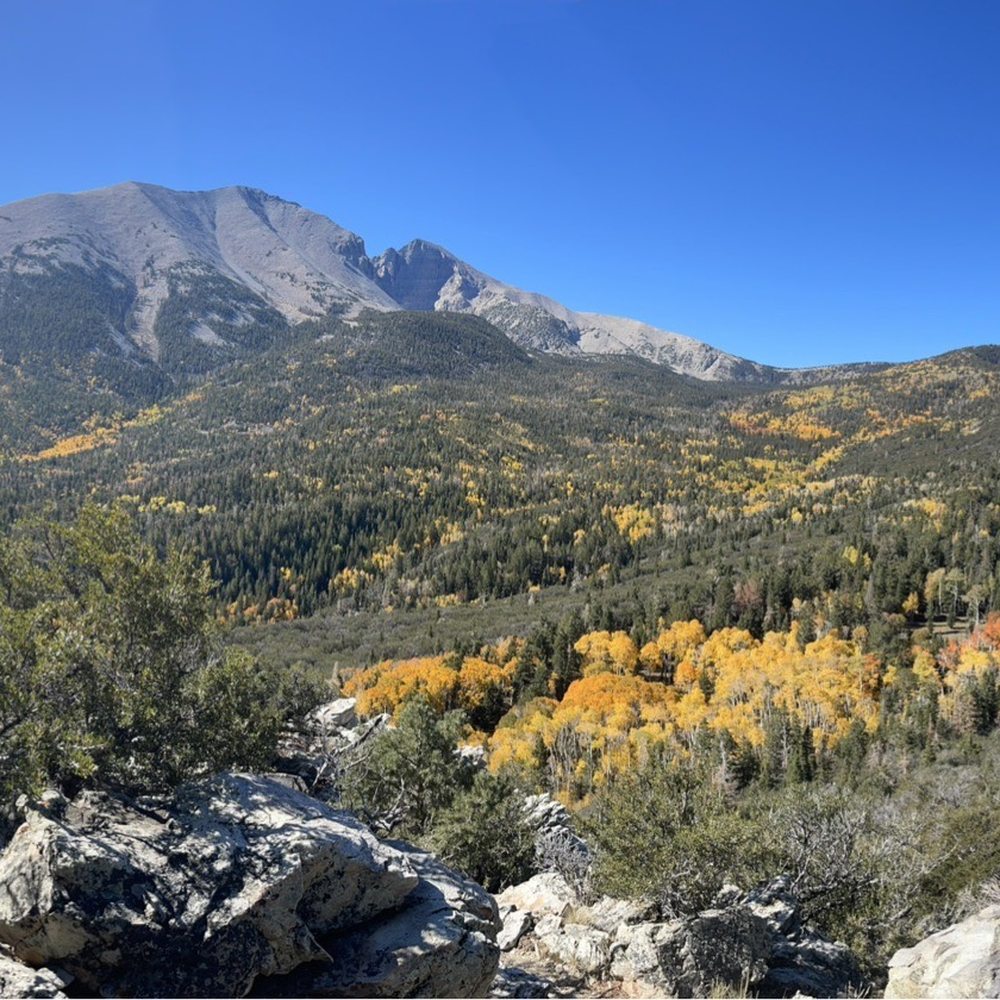 Great Basin National Park - Fall colors heading up to Wheelers Peak. - Parks Near Me - Baker, Nevada