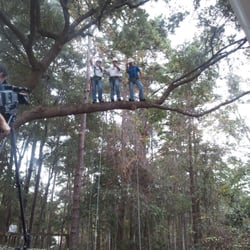 Miller's Tree Service