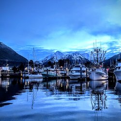Bumble Expeditions - View from the harbor where we depart