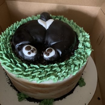 Sweet For You - Perfect cake for a one year old corgi puppy party! - Cupcakes Near Me - West Jordan, Utah Sweet For You - Perfect cake for a one year old corgi puppy party! - Cupcakes Near Me - West Jordan, Utah