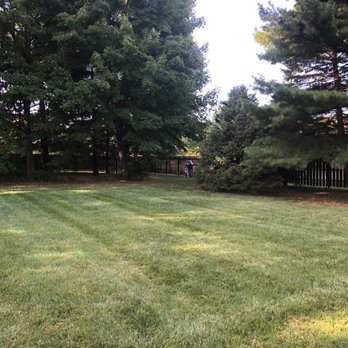 Ohio Veterinary Dental Service - Yard in back to walk your dog. - Pet Services Near Me - Columbus, Ohio Ohio Veterinary Dental Service - Yard in back to walk your dog. - Pet Services Near Me - Columbus, Ohio