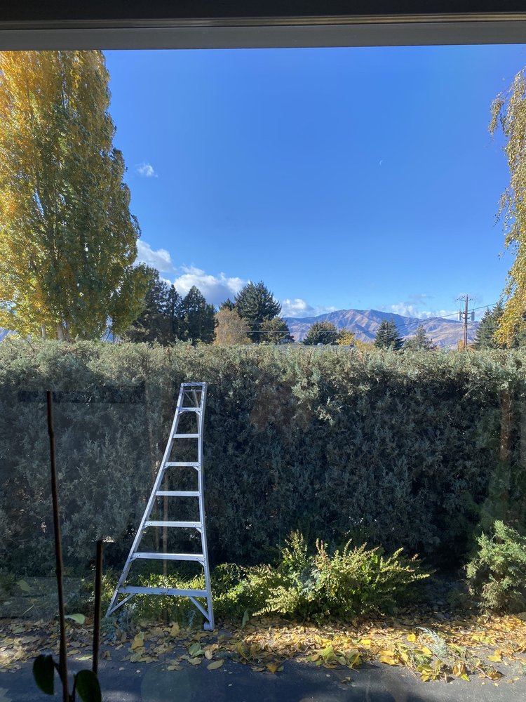 PAUL BUNYAN TREE SERVICE Updated October 2024 East Wenatchee