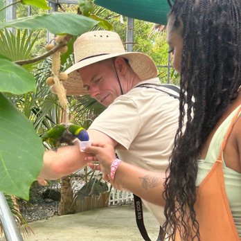 Coral World Ocean Park - It's not just sea gulls that say, "Mine!" - Aquariums Near Me - St Thomas, Virgin Islands