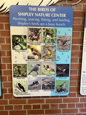 Shipley Nature Center by null