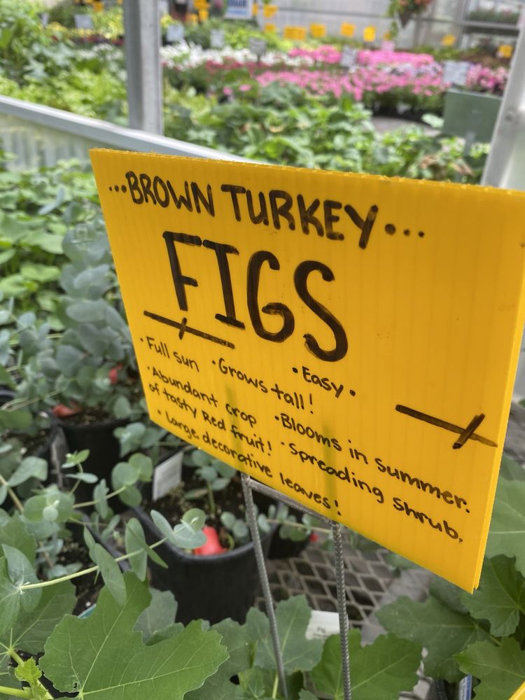 BRIAR ROSE GREENHOUSES Updated September 2024 10 Photos & 15