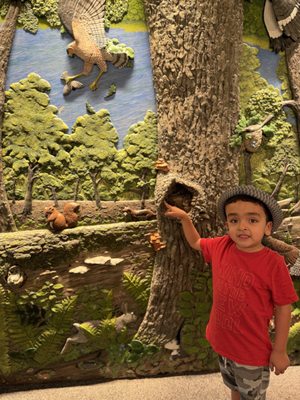 Westwood Hills Nature Center by null