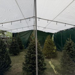 Carrolls Island Christmas Trees