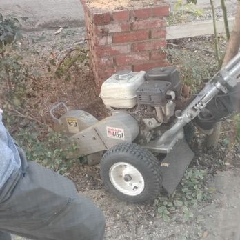 Affordable Tree Care - Grinding up the stump - Tree Services Near Me Affordable Tree Care - Grinding up the stump - Tree Services Near Me