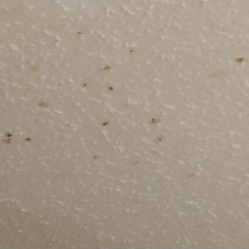 Intown Suites - Grease on the ceiling - Hotels Near Me - Douglasville, Georgia