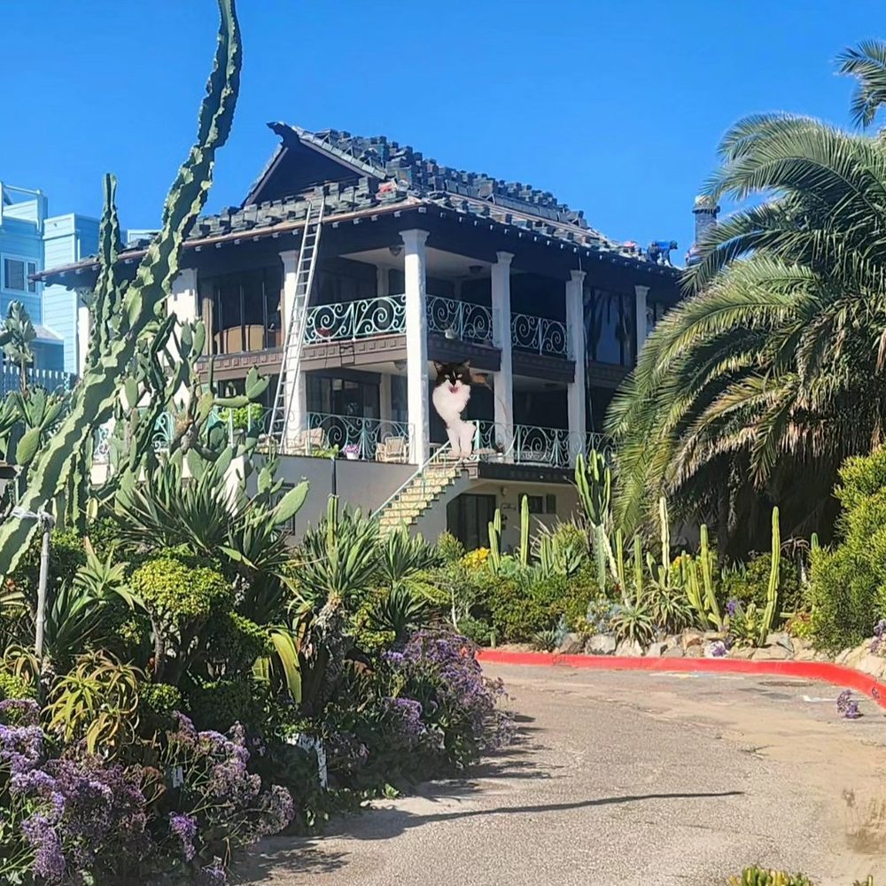 Slide of RT Roofing Specialist