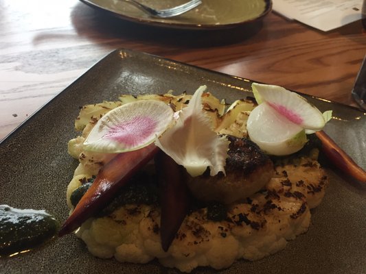 Horn and Cantle by null