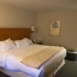 Ashland Hills Hotel & Suites - Pet friendly room with carpet.