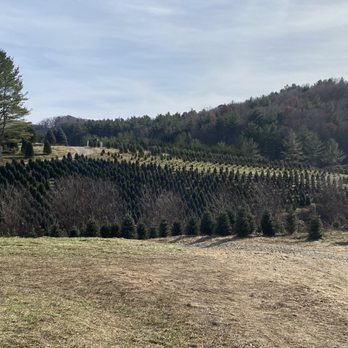 Mistletoe Meadows - Christmas Trees Near Me - Laurel Springs, North Carolina Mistletoe Meadows - Christmas Trees Near Me - Laurel Springs, North Carolina