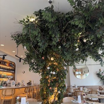 Forever Thai - The tree in the middle of the restaurant! - Thai Near Me - Brooklyn, New York