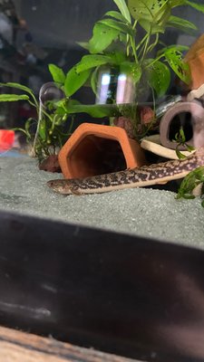 The Fin Shop by null