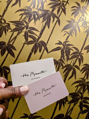 Plymouth Hotel Miami by null