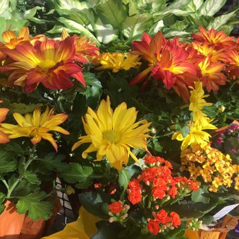 Pemberton Farms - Nurseries & Gardening Near Me - Cambridge, Massachusetts
