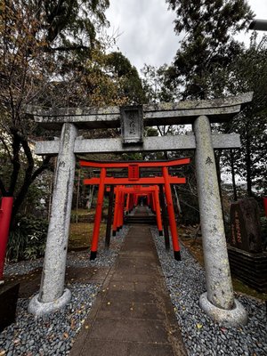 Suwa Shrine by null
