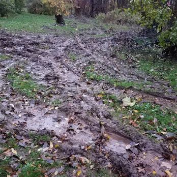 Canopy Walkers Tree Service - Deep ruts all over the yard from heavy machinery. Machinery was brought in after heavy October rains. The project started in August 2019. - Tree Services Near Me Canopy Walkers Tree Service - Deep ruts all over the yard from heavy machinery. Machinery was brought in after heavy October rains. The project started in August 2019. - Tree Services Near Me