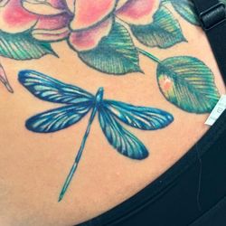 Jennifer Simmons - Moon Water Tattoo - Full color dragon fly