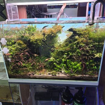 Ck Fish World - Local Fish Stores Near Me - West Covina, California