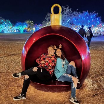 Desert Farm Lights - Bounce House Rentals Near Me - Waddell, Arizona Desert Farm Lights - Bounce House Rentals Near Me - Waddell, Arizona