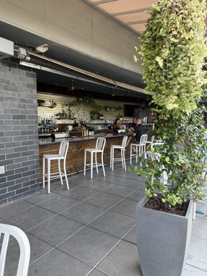 Botanical Lounge by null