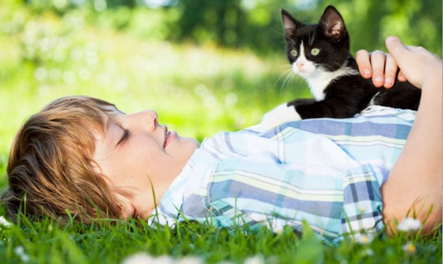 Powdersville Animal Hospital Image